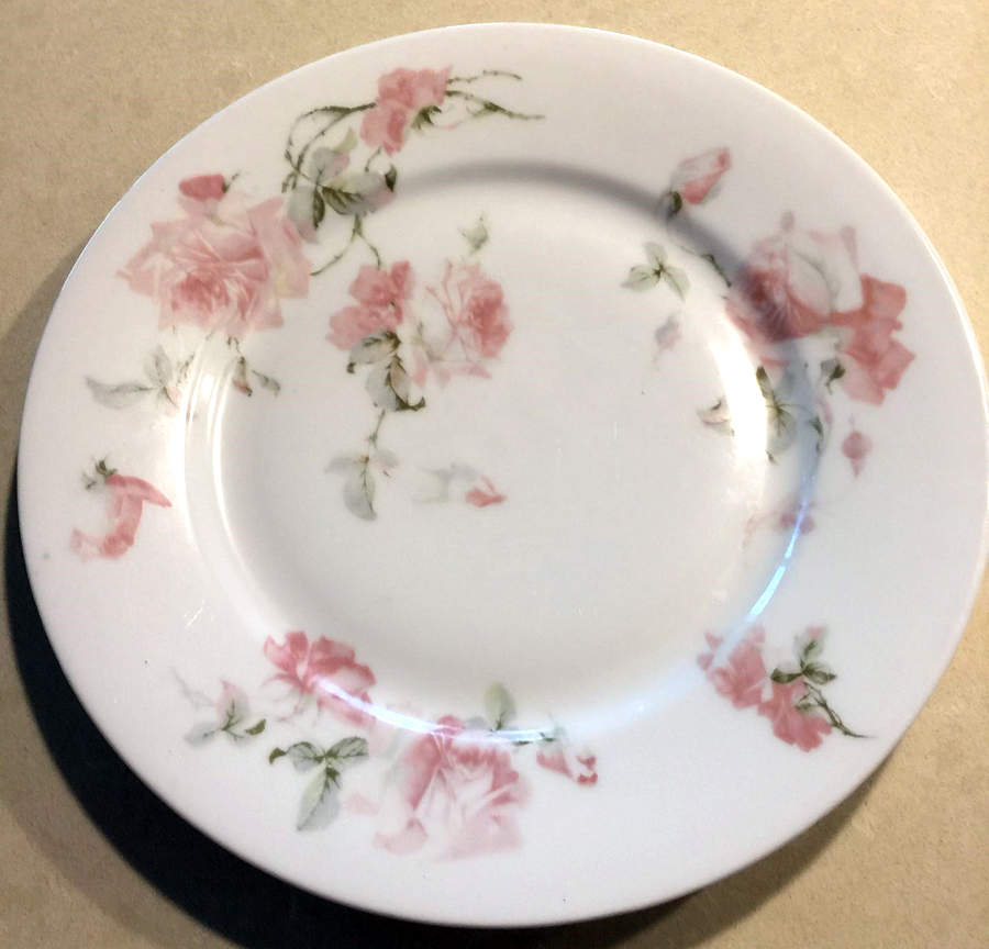 PFE11 Dinner Plate by Pfeiffer & Lowenstein-1