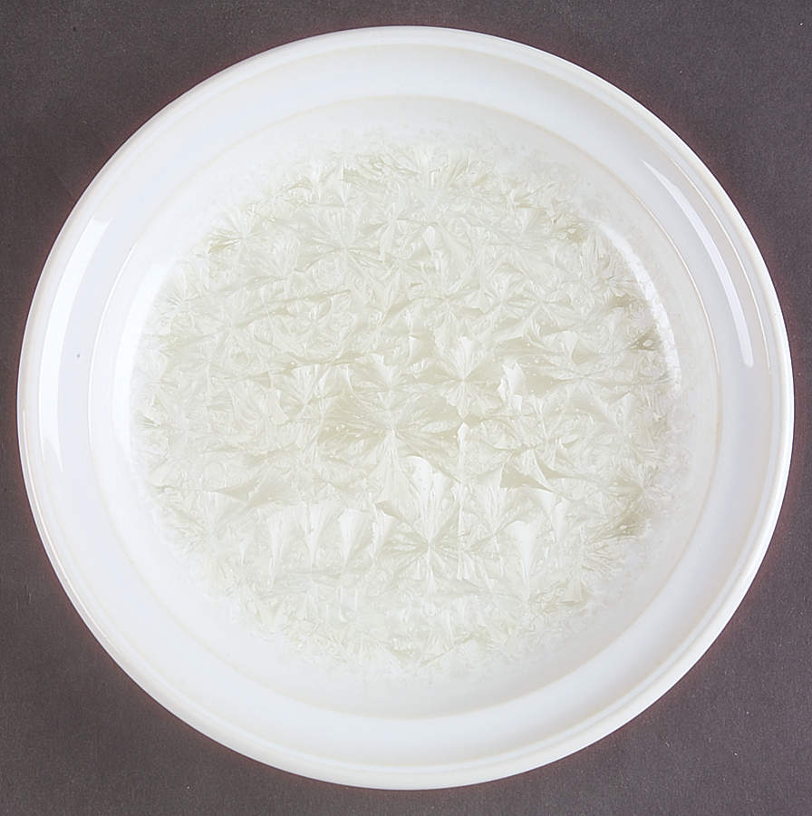 Opal Salad/Dessert Plate by Portmeirion-1