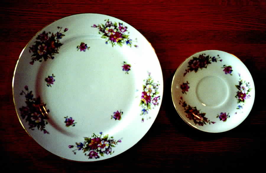 PLR5 Dinner Plate by Pearl China (Japan)-1