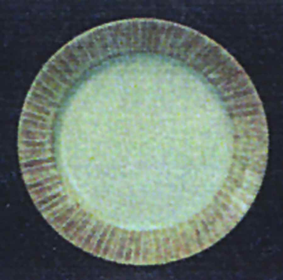 Sereno Green Khaki Salad Plate by Presenttense-1