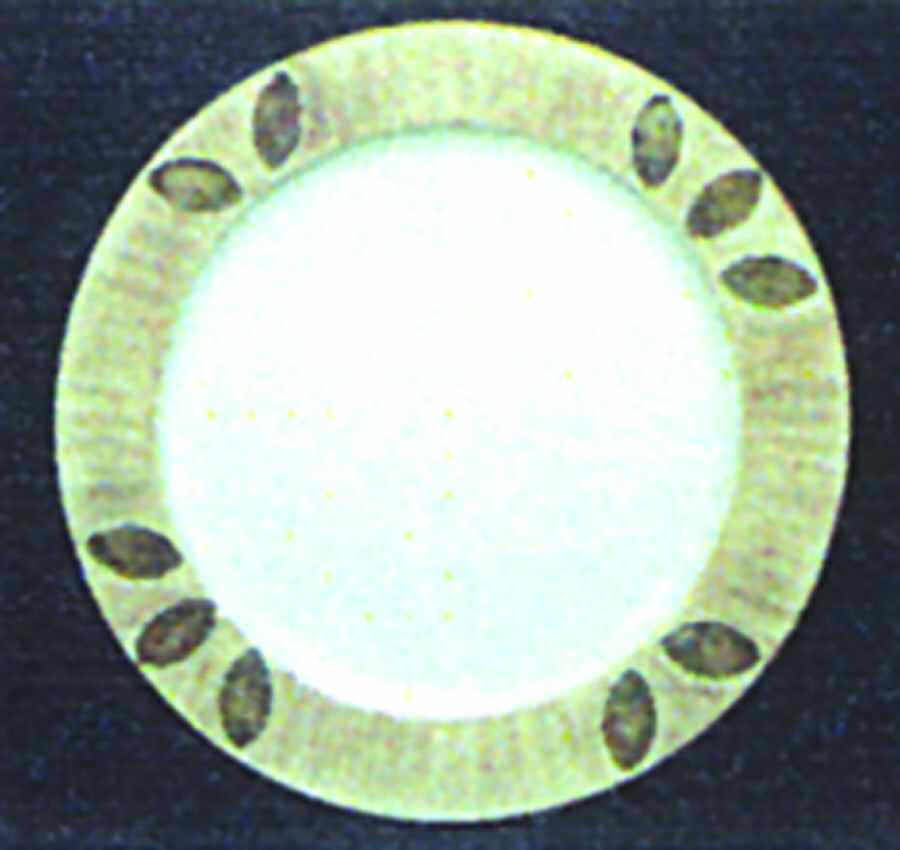 Sereno Khaki Green Chop Plate (Round Platter) by Presenttense-1