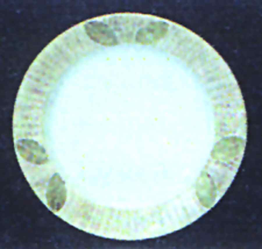 Sereno Khaki Green Dinner Plate by Presenttense-1
