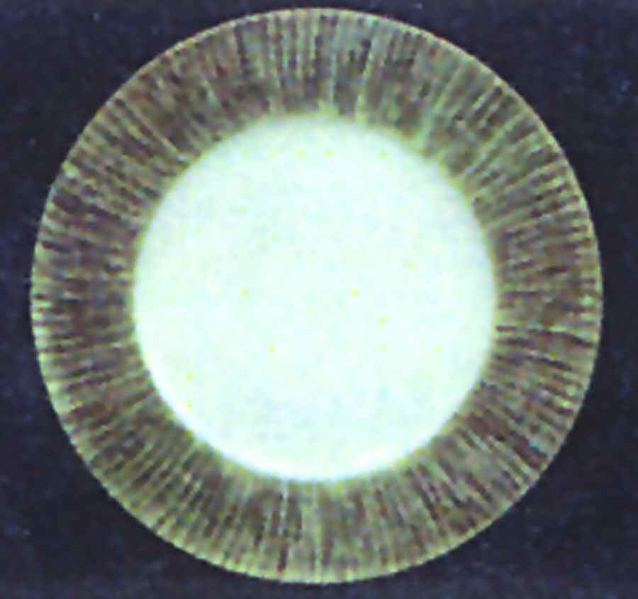 Sereno Khaki Green Service Plate (Charger) by Presenttense-1