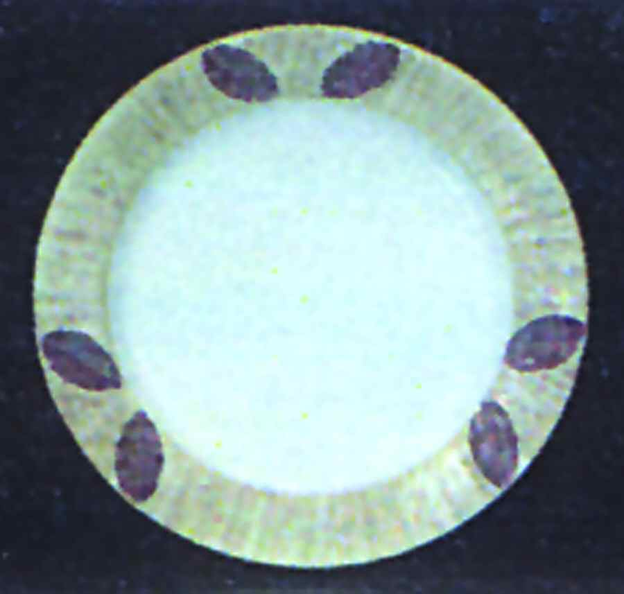 Sereno Khaki Plum Dinner Plate by Presenttense-1