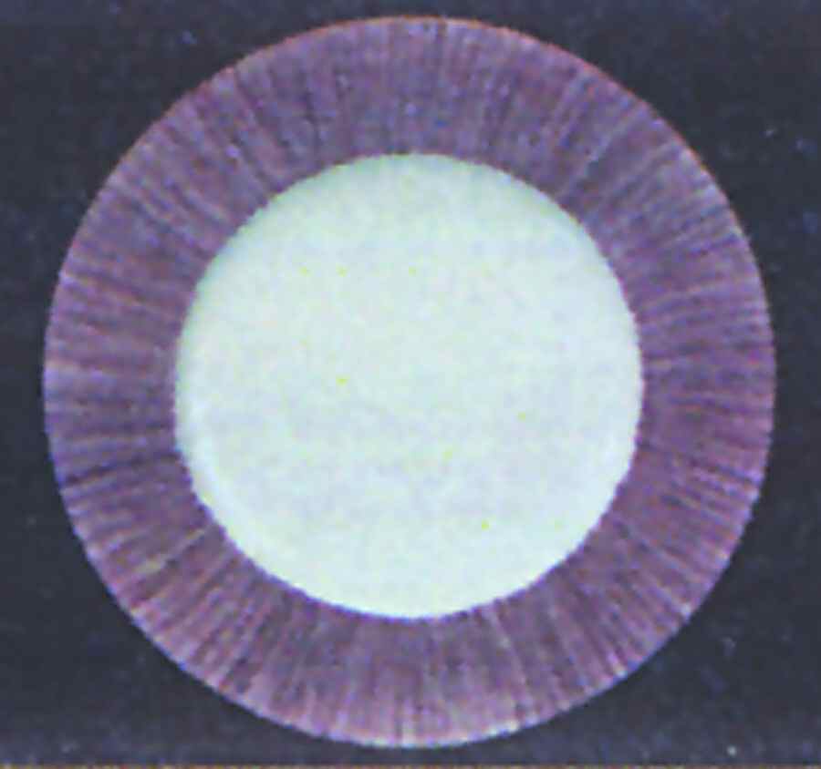 Sereno Khaki Plum Service Plate (Charger) by Presenttense-1