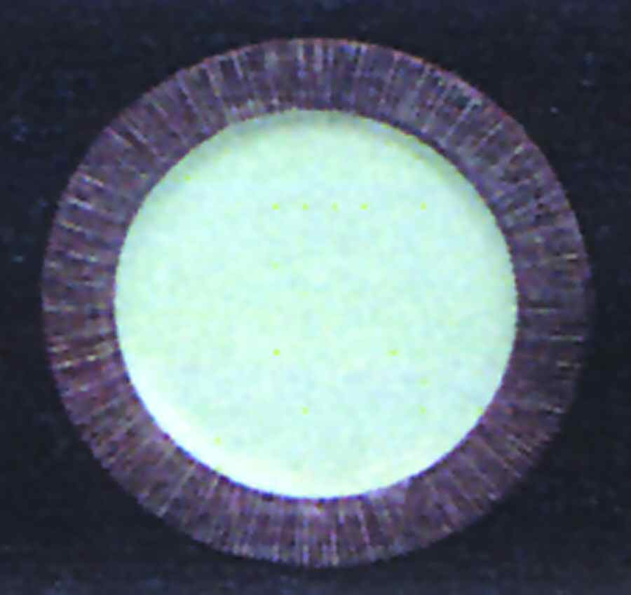 Sereno Khaki Plum Salad Plate by Presenttense-1