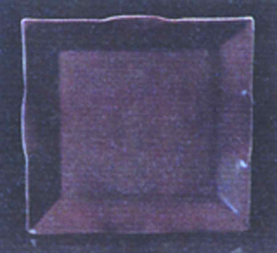 Ventosa Plum Square Medium Serving Platter by Presenttense-1