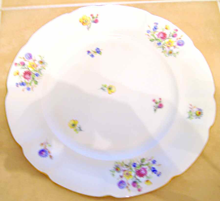 PIR66 Dinner Plate by Pirkenhammer-1