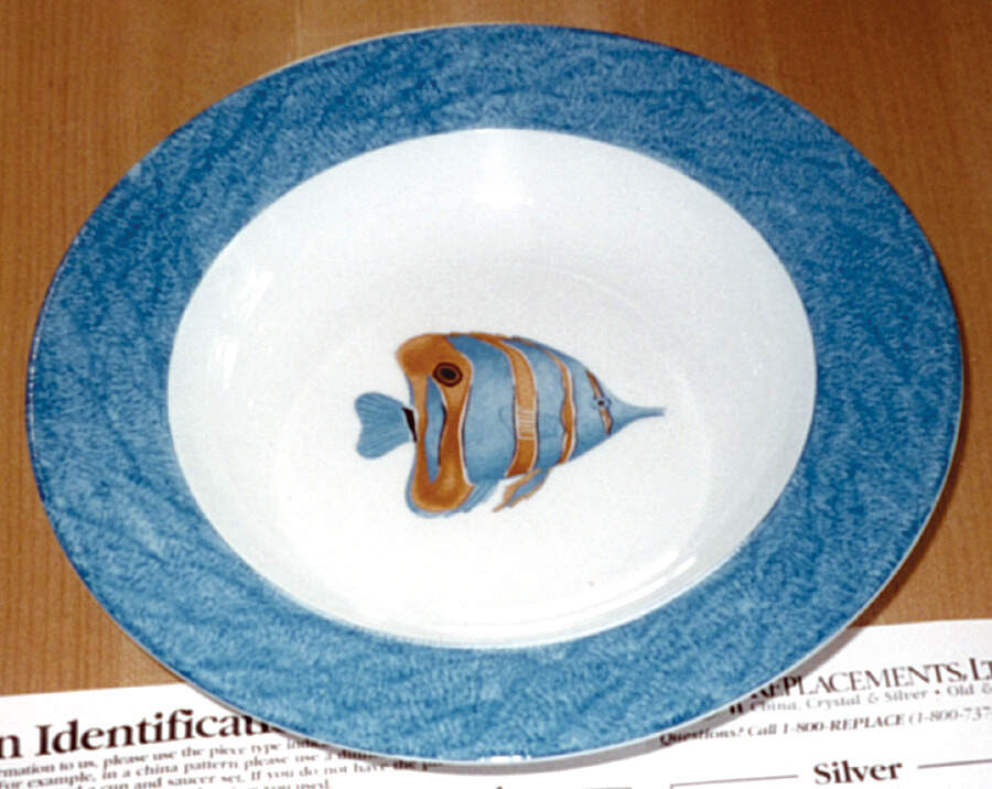 PLI7 Rim Soup Bowl by Porcelaine de Limoges-1