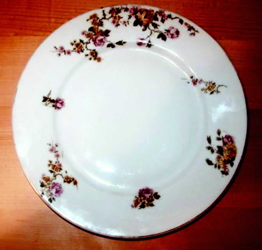 PFE12 Dinner Plate by Pfeiffer & Lowenstein-1