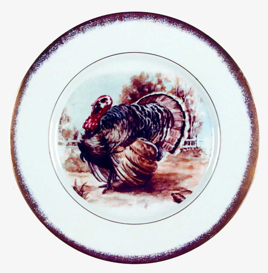 PRI12 Dinner Plate by Princess - Empcraft (USA)-1
