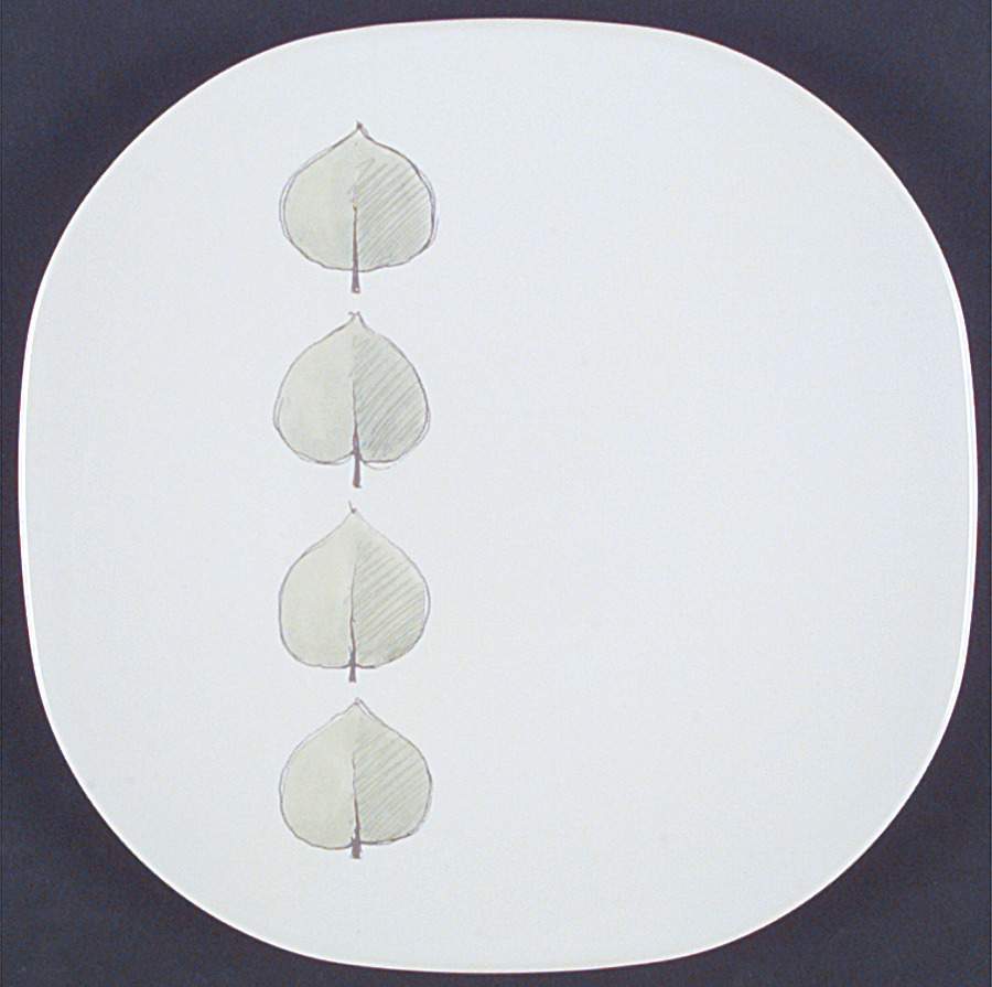 Aspen Square Salad Plate by Pfaltzgraff-1