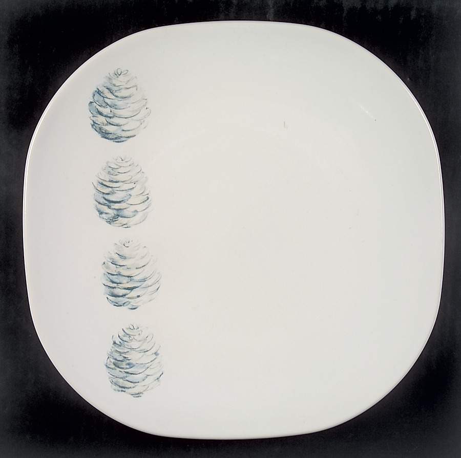 Spruce Square Luncheon Plate by Pfaltzgraff-1