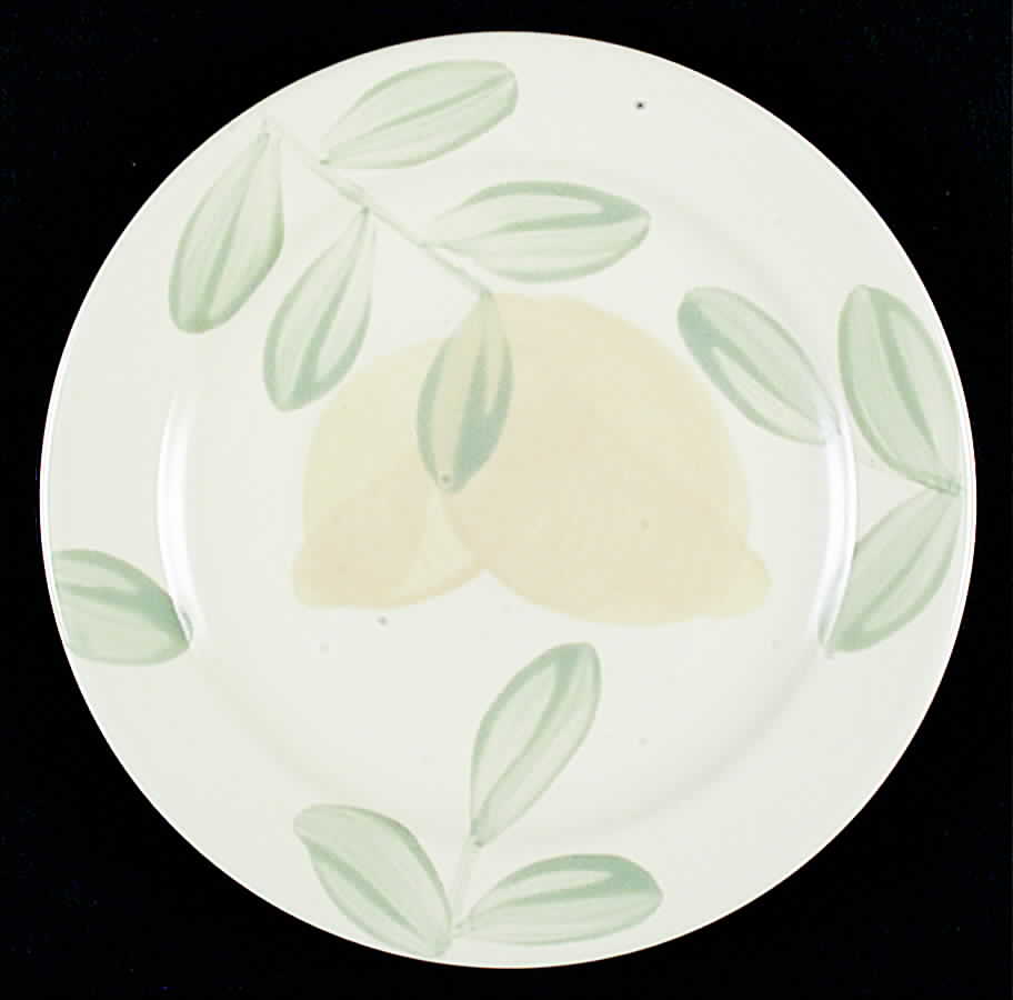Vera Cruz Salad Plate by Pfaltzgraff-1