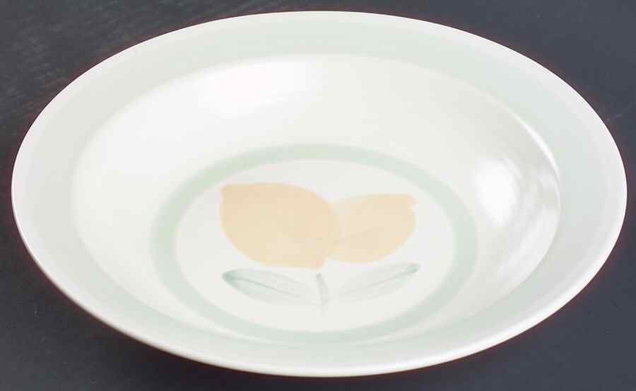 Vera Cruz Individual Dinner/Pasta Bowl by Pfaltzgraff-1