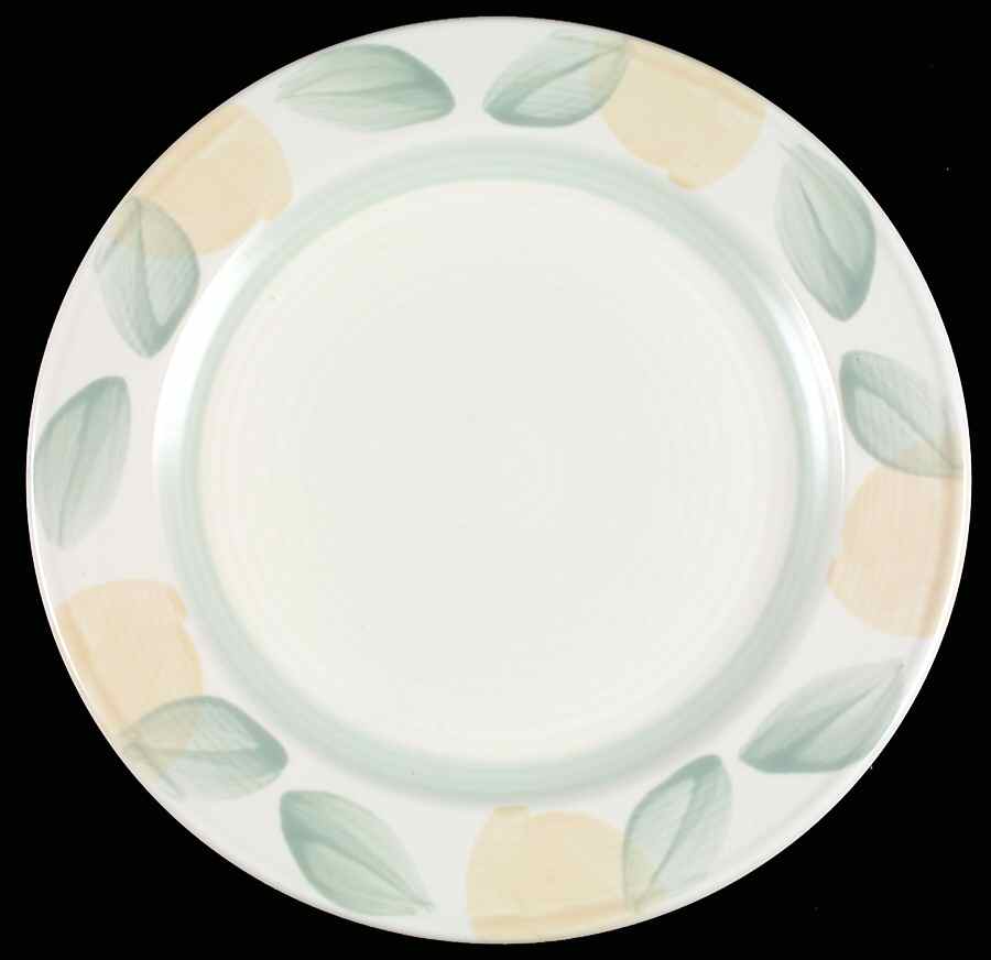 Vera Cruz Accent Dinner Plate by Pfaltzgraff-1