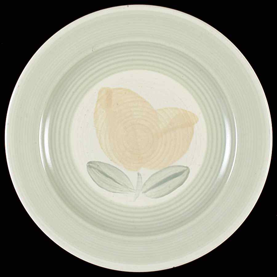 Vera Cruz Dinner Plate by Pfaltzgraff-1