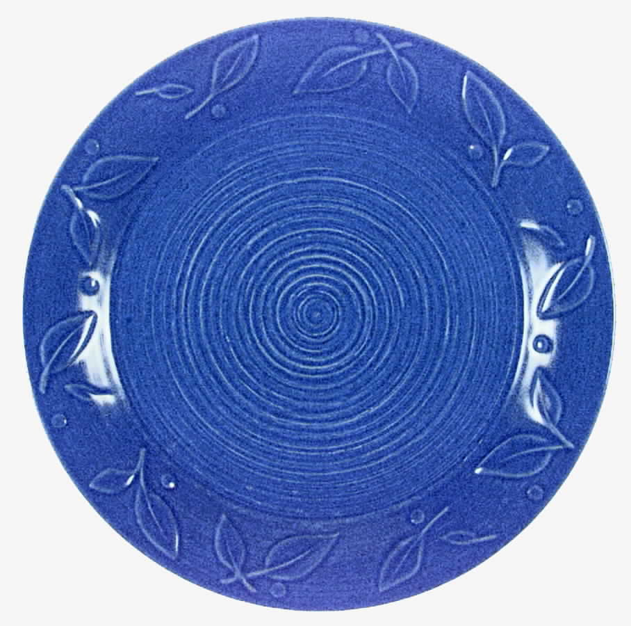 Wyngate Blue Dinner Plate by Pfaltzgraff-1