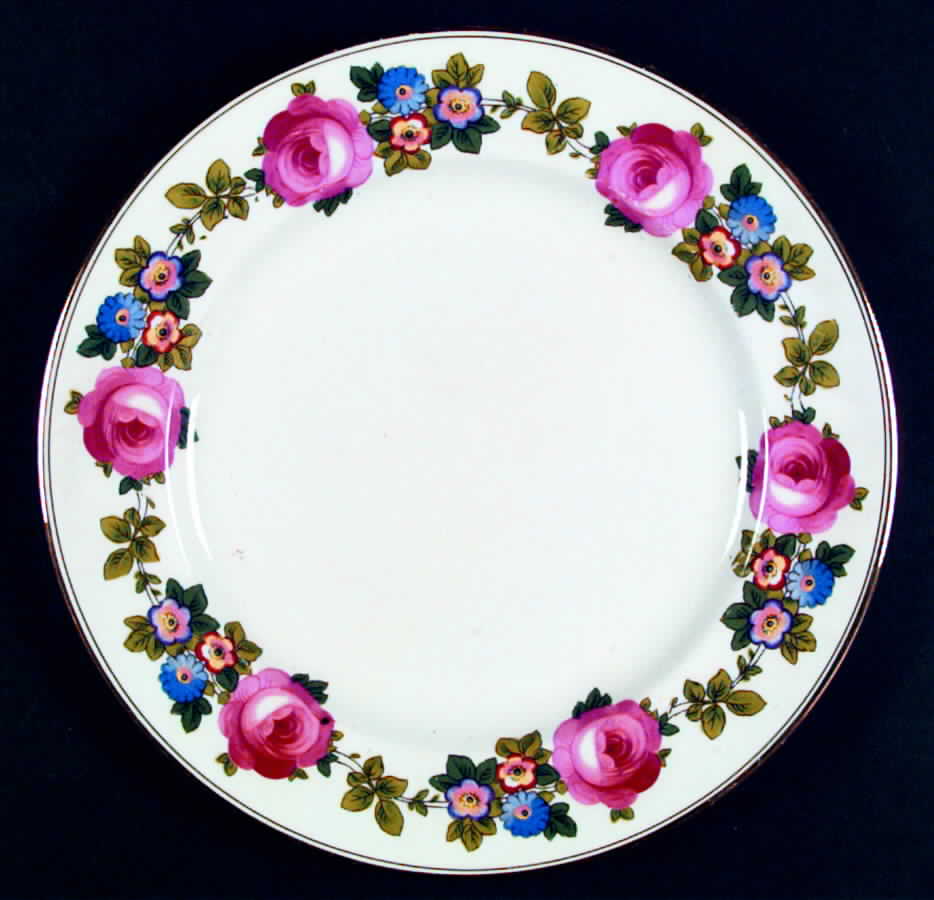 PAR54 Dinner Plate by Paragon-1