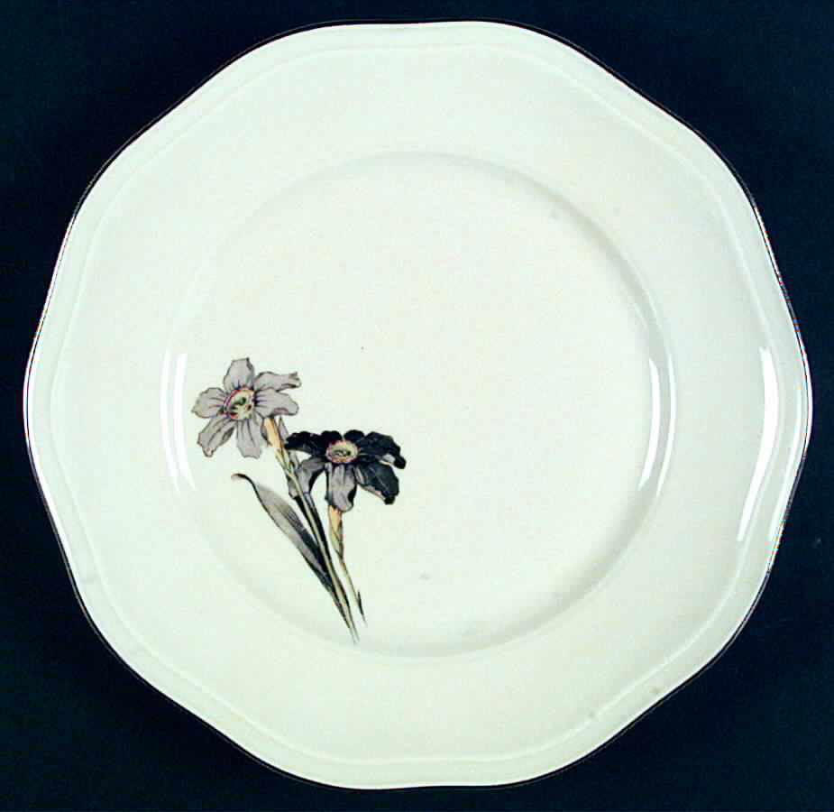 PIR70 Dinner Plate by Pirkenhammer-1