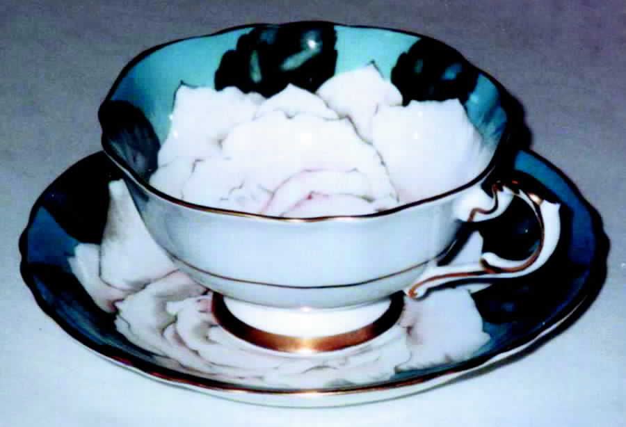 Tea Rose Footed Cup & Saucer Set by Paragon-1