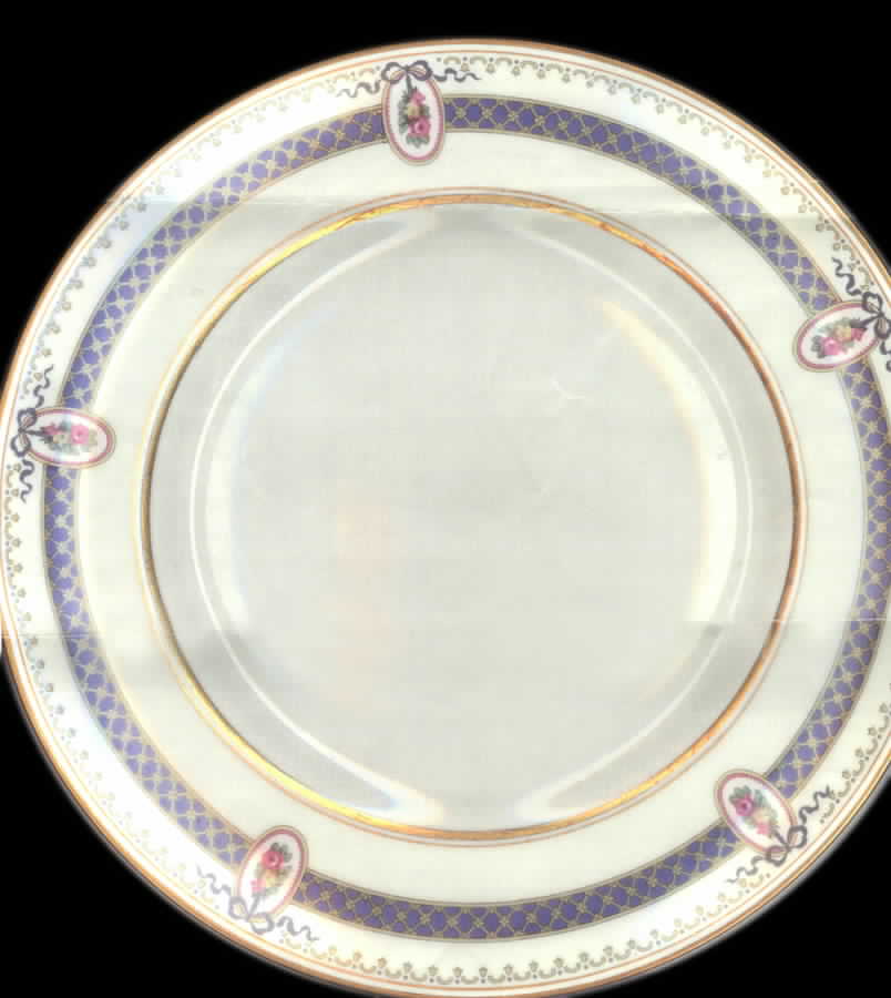 PL17 Luncheon Plate by Porcelaine Limousine-1