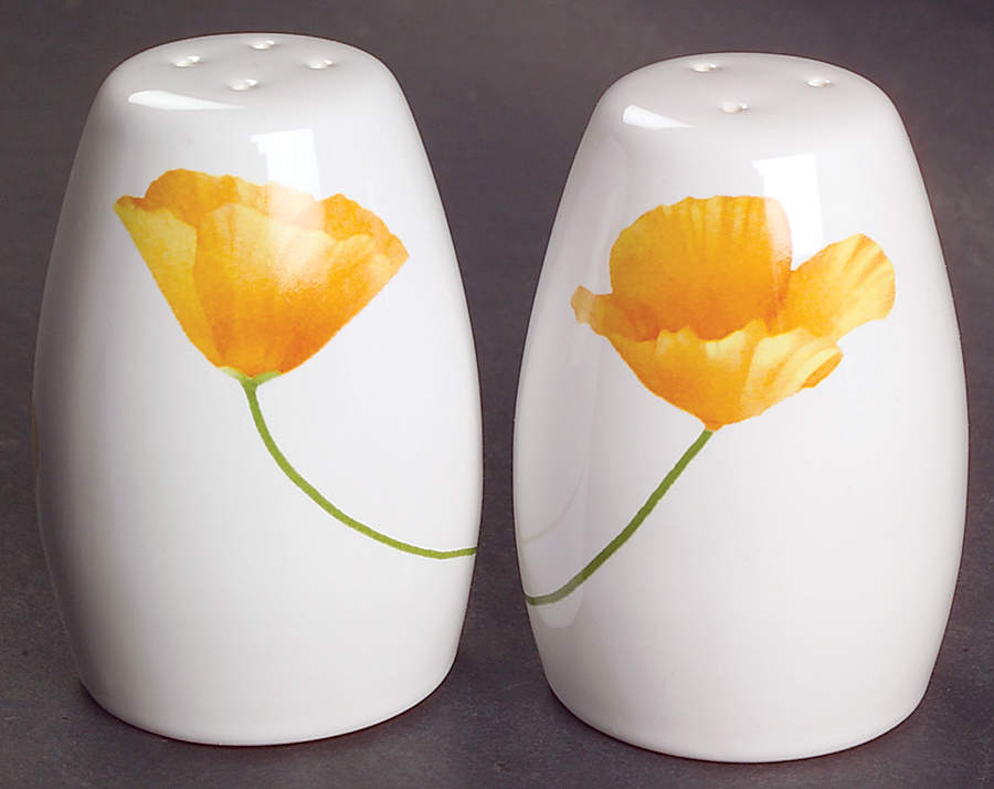 Sunshine Salt & Pepper Set by Pfaltzgraff-1