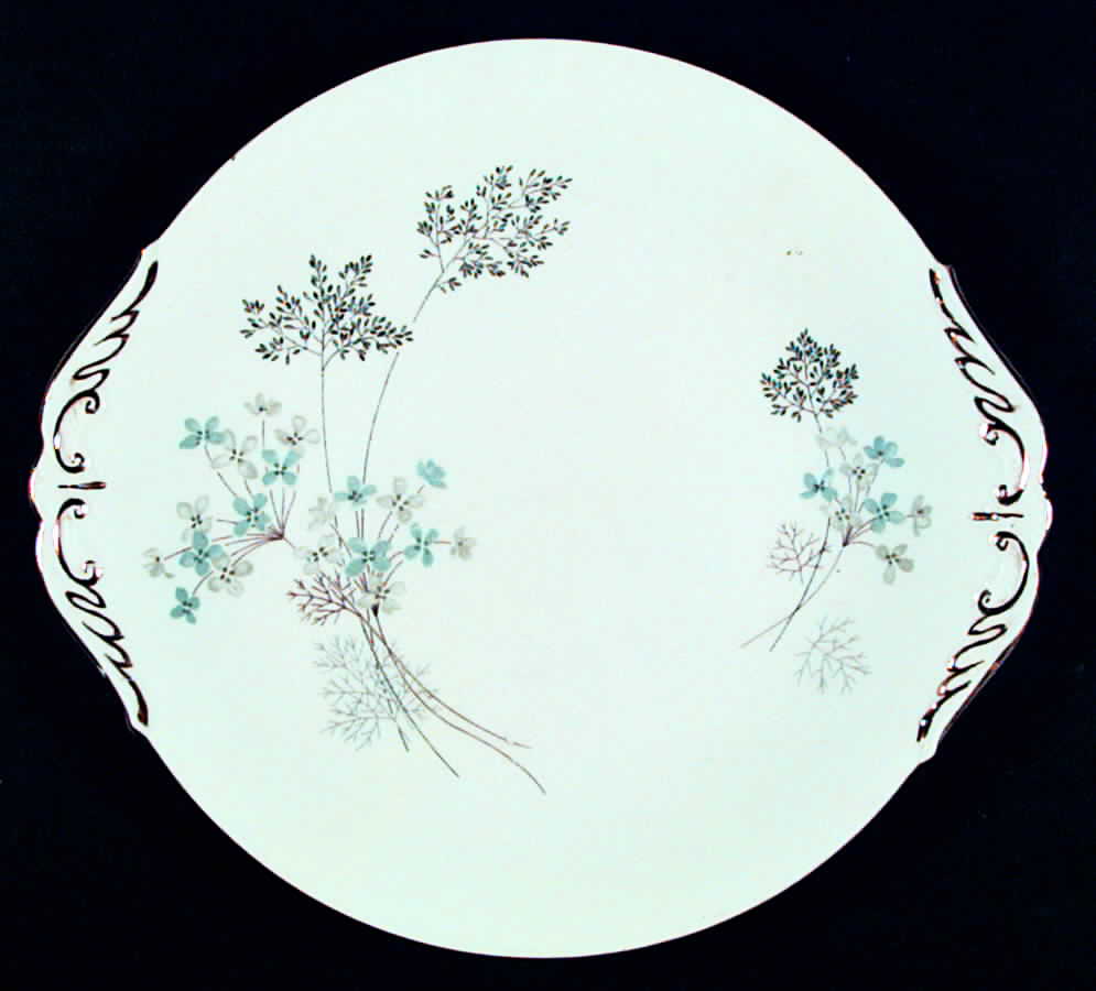 PAR56 Handled Cake Plate by Paragon-1