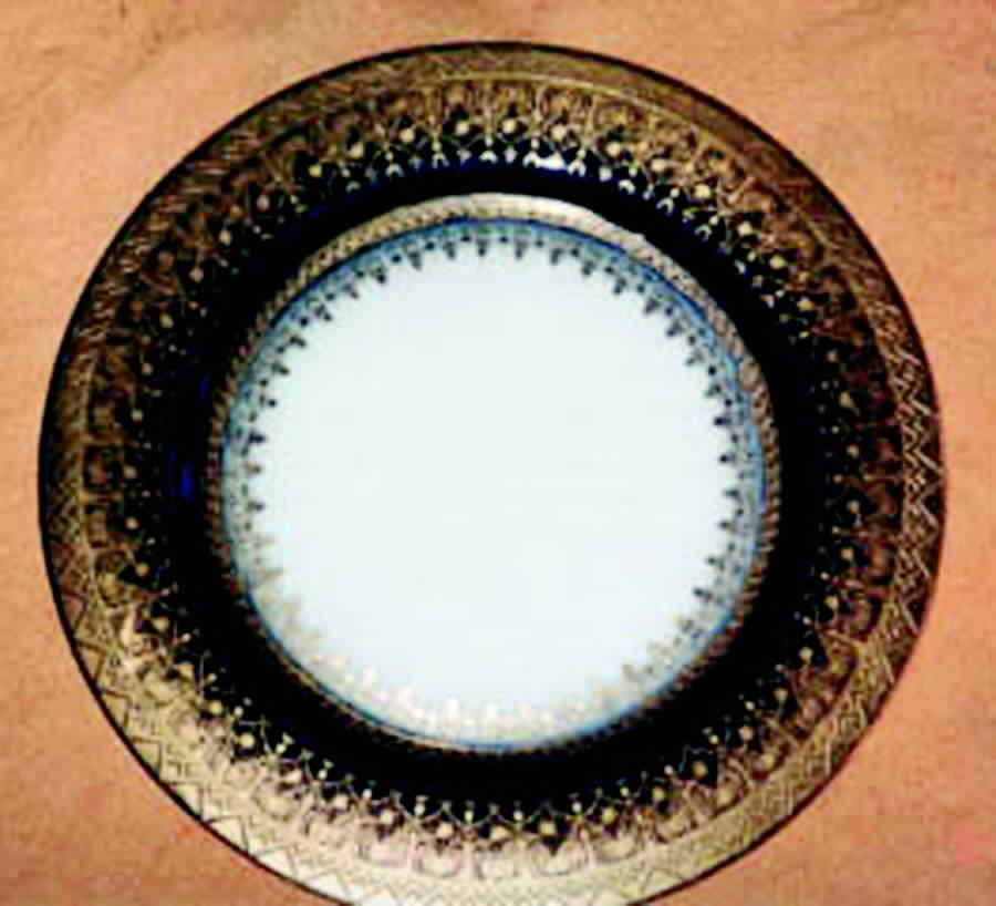 PAD12 Salad Plate by Paroutaud-1