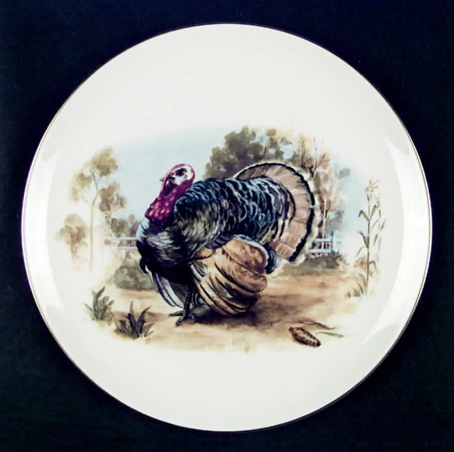 PIC52 Dinner Plate by Pickard-1