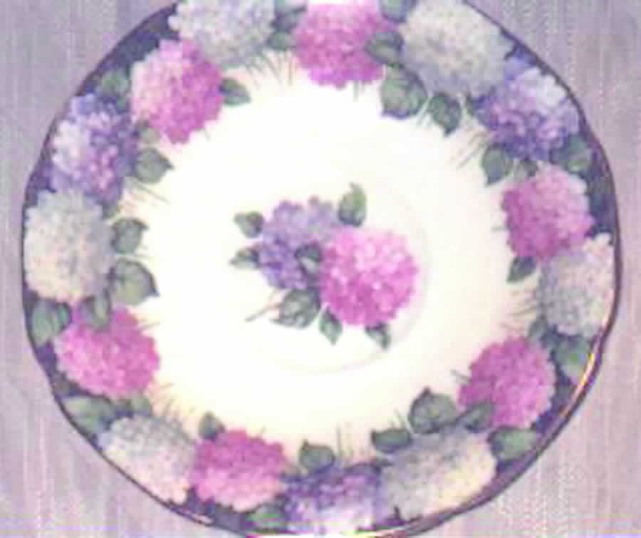 A563 Saucer by Paragon-1