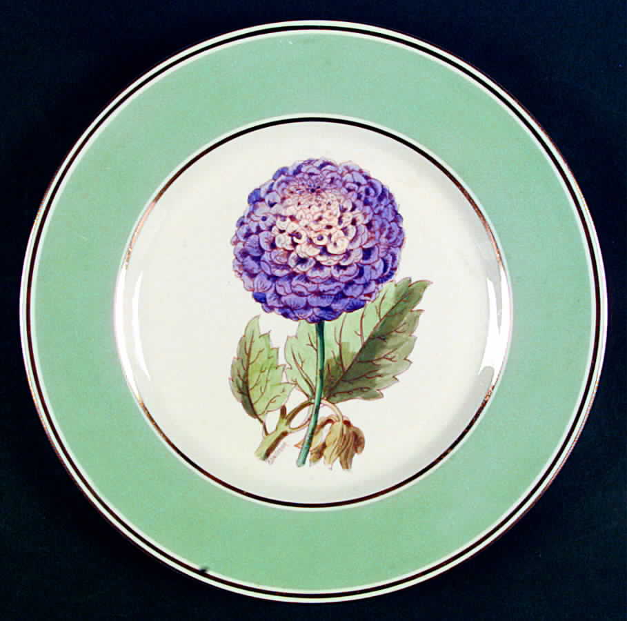 1019-104 Dinner Plate by Pickard-1