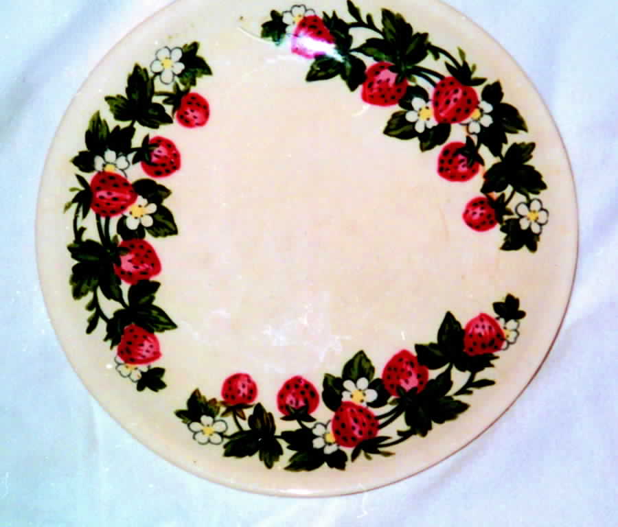 PCP160 Dinner Plate by Paden City-1