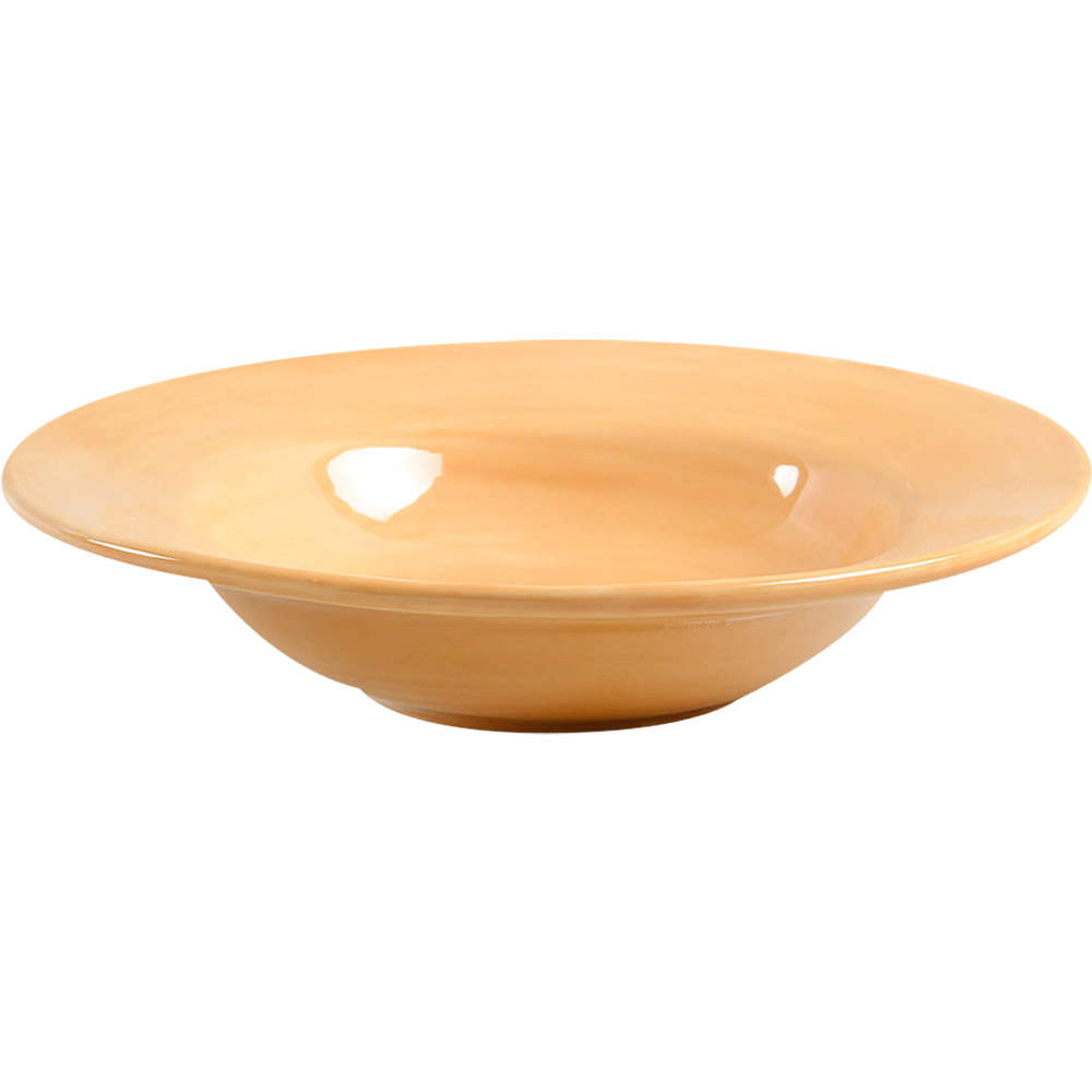 Sausalito Amber Large Rim Soup Bowl by Pottery Barn China-1