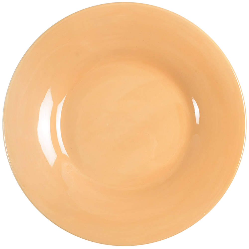 Sausalito Amber Dinner Plate by Pottery Barn China-1