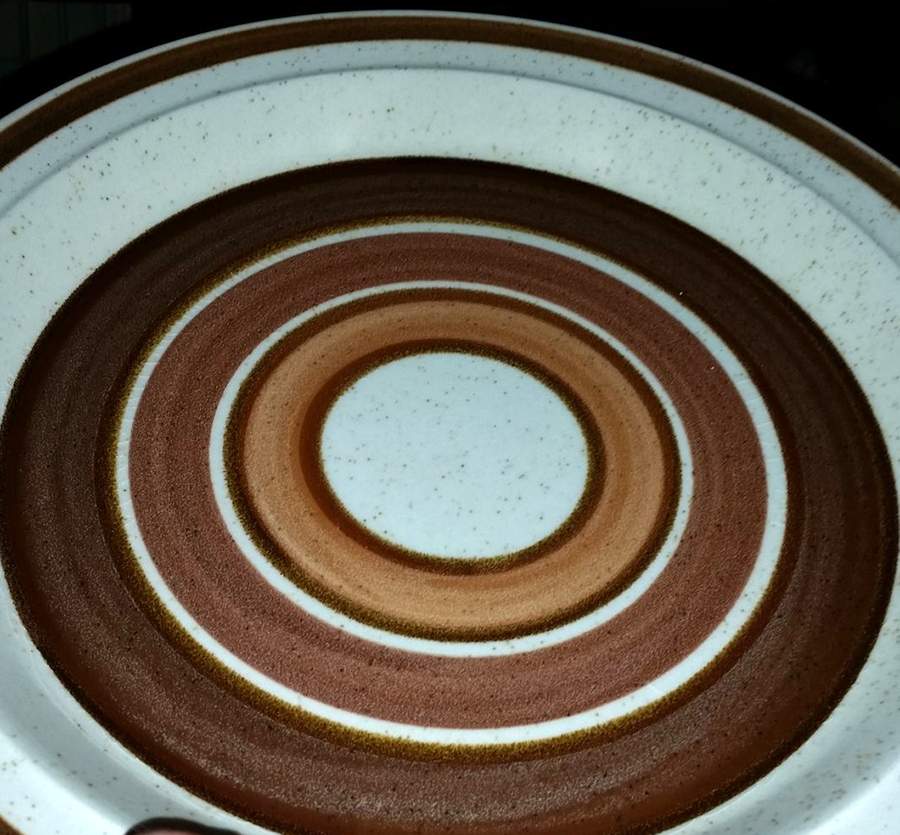 Jeweltones Burnt Amber Dinner Plate by Premiere-1