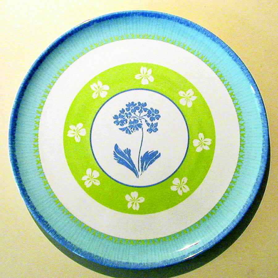 PIO2 Dinner Plate by Precidio-1