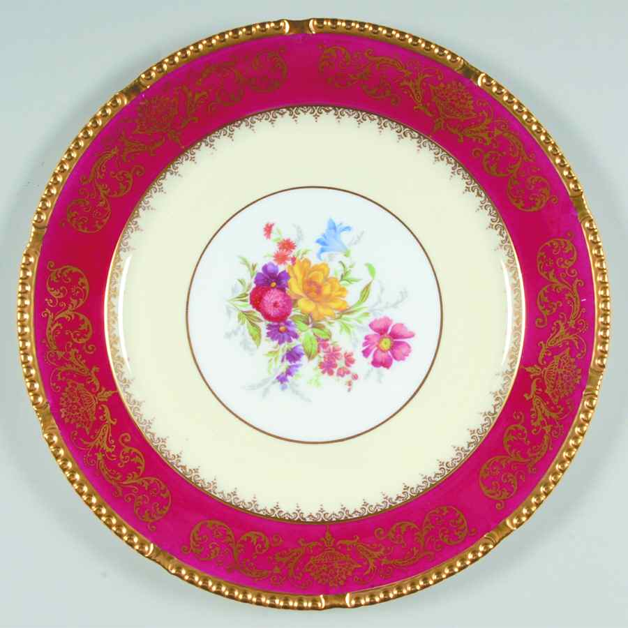 Z634-1 Dinner Plate by Paragon-1