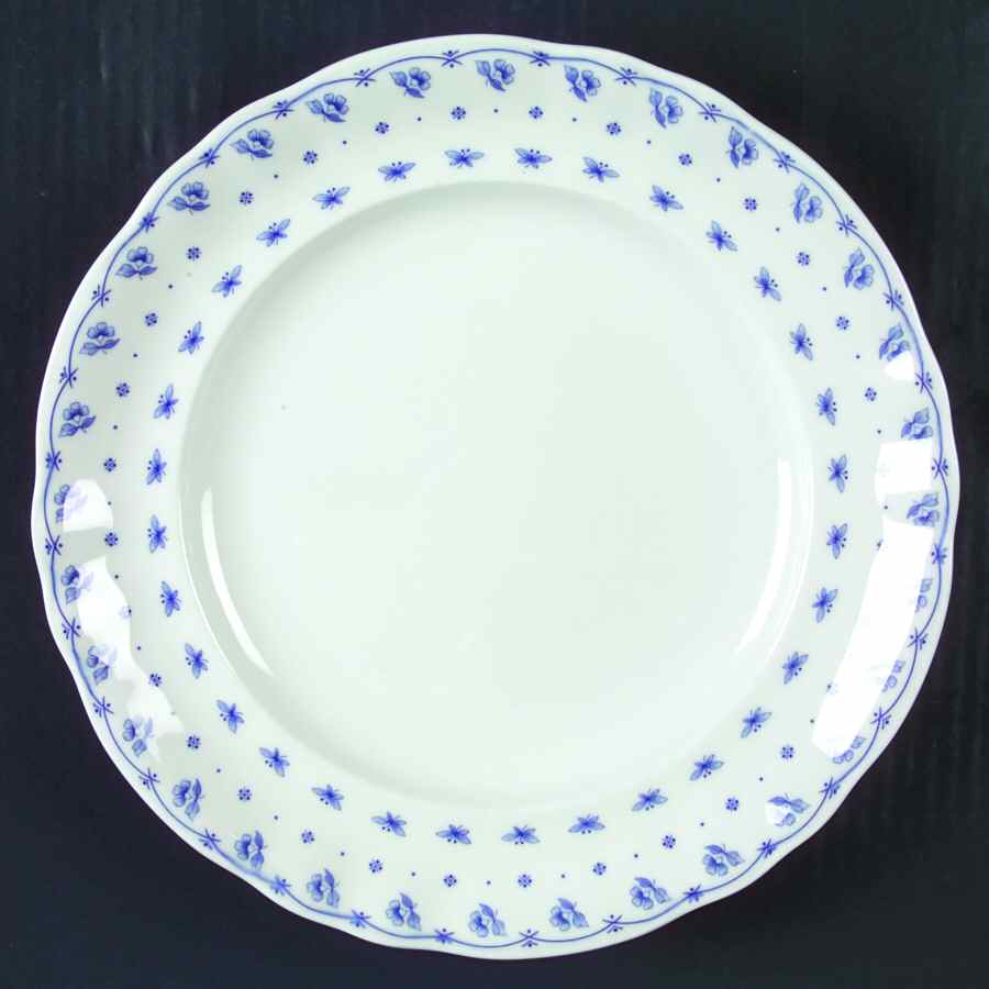 PNT12 Dinner Plate by Pontesa-1