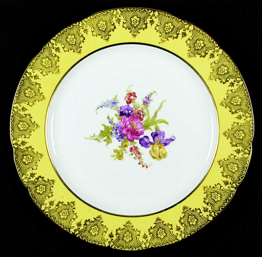 Z580 Dinner Plate by Paragon-1