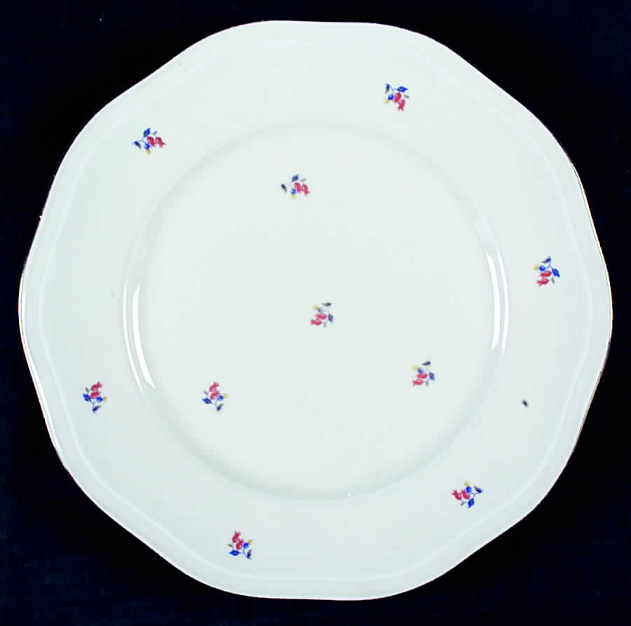 PIR81 Dinner Plate by Pirkenhammer-1
