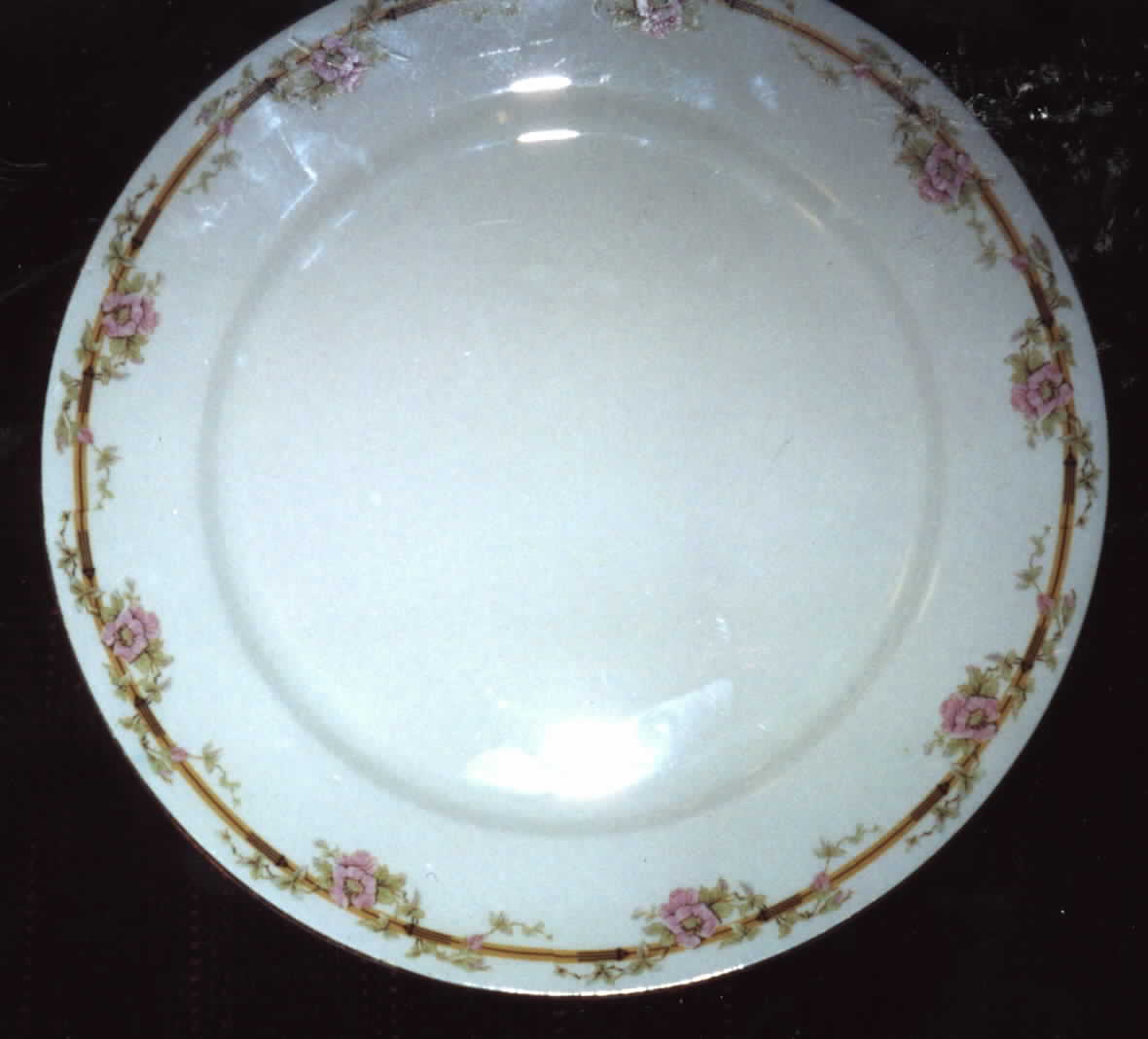 POP179 Dinner Plate by Pope Gosser-1