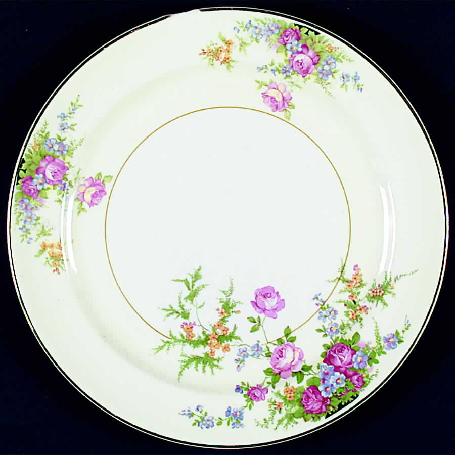 PCP183 Dinner Plate by Paden City-1