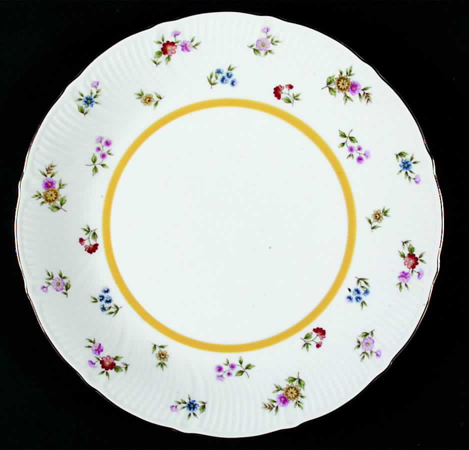 Avondale Dinner Plate by Premiere-1