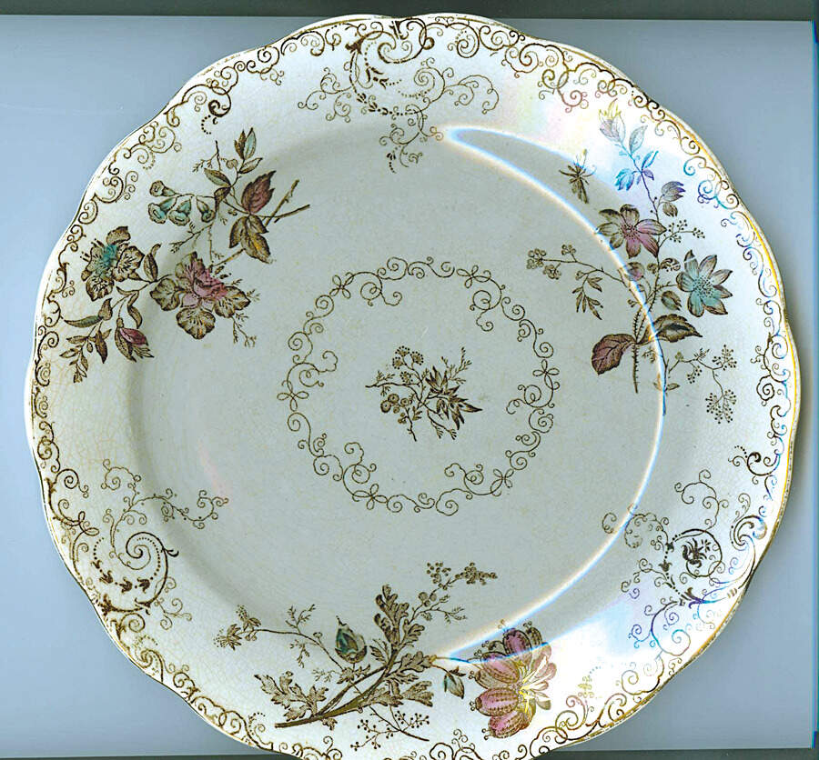 Chelsea Dinner Plate by Pinder Bourne & Hope-1