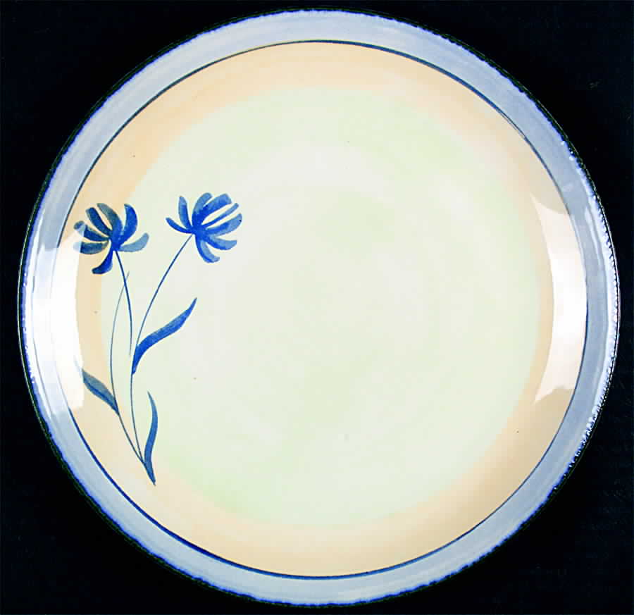 Tranquility Dinner Plate by Pier 1-1