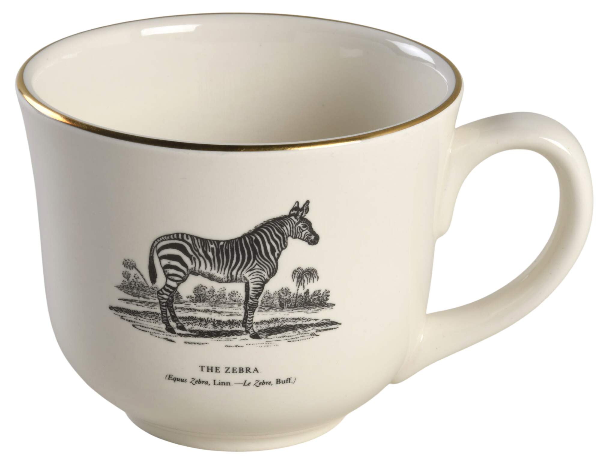 Bewick's Beastes Flat Cup by Prinknash-1