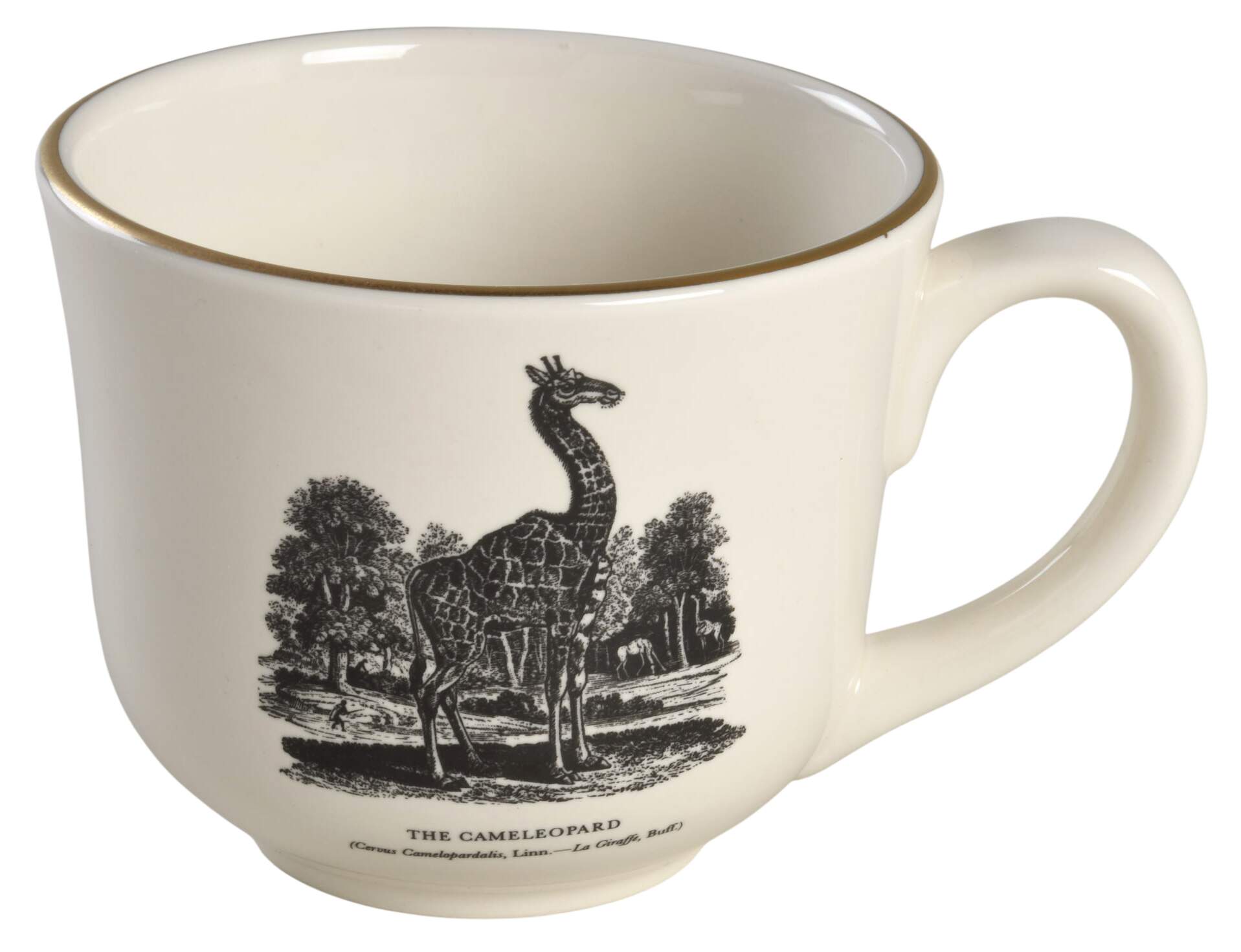 Bewick's Beastes Flat Cup by Prinknash-1