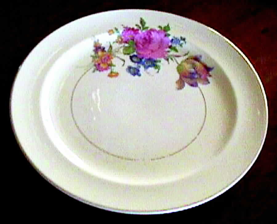 PCP185 Dinner Plate by Paden City-1