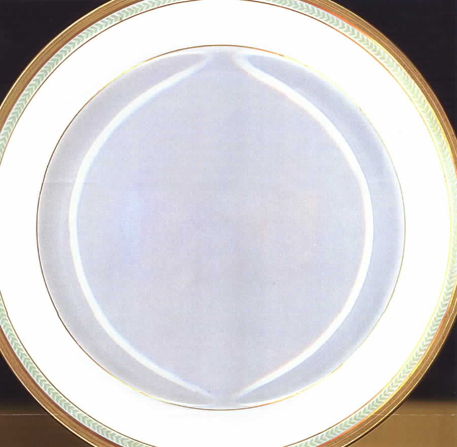 PAD17 Salad Plate by Paroutaud-1